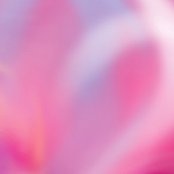 Meet your Posher, Maria - Picture 1 of 1